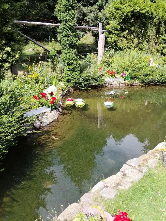 Pasja Bed and Breakfast Świeradów-Zdrój Eksteriør billede
