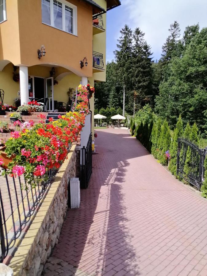 Pasja Bed and Breakfast Świeradów-Zdrój Eksteriør billede